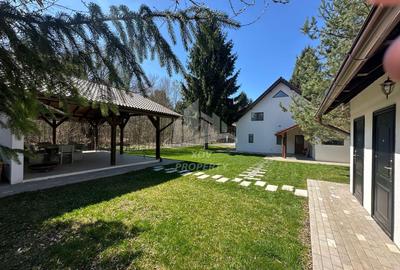 Pensiune/ Vila Valea Avrigului - 2