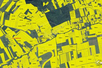 Investitie! Teren de vanzare, 1.5 ha, zona strada Oasului, - 2