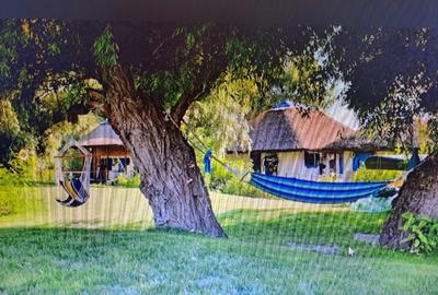 De vanzare Pensiunea Casa Delta,8 camere, situata pe Dunarea Veche, langa Lebada - 3