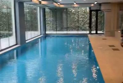 IANCU NICOLAE 4 CAMERE GENEROS CU 2 TERASE - 19