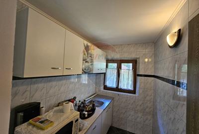 Casă solidă din cărămidă, mobilată, garaj, teren generos – Tarcău - 35