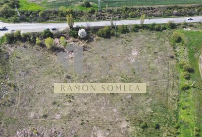 Teren intravilan industrial 16142 mp, Centura de Est, Ploiesti - 4