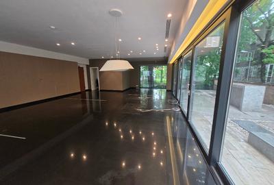 Showroom stradal Floreasca - 14