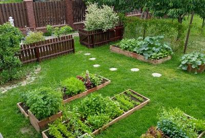 Casa individuala cu teren 750mp, garaj, beci, terasa - Dezmir, zona centrala - 14