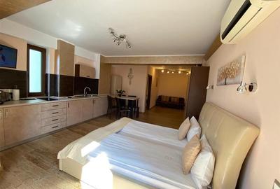 Hotel 4 studiouri 4 camere duble parcare zona Centrala - 2