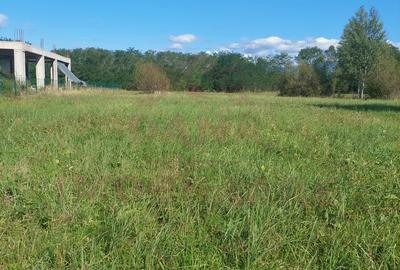 TEREN INTRAVILAN\699 mp, 45€ mp\ CARANSEBEȘ\ ZONA TEIUȘ - 1