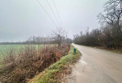 Giroc Teren 30.000mp PUZ APROBAT Pentru Case | Asfalt - Langa Padure - 5
