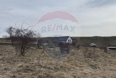 Teren intravilan 2307 mp în Salicea, zona premium, aproape de Cluj - 14