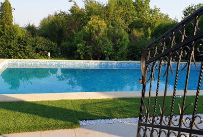 VILA IMPRESIONANTA CU ACCES LA LAC si PISCINA - 11
