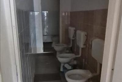 Cazare muncitori garsoniere/apartamente la curte in Vladimirescu - 22