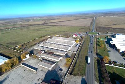 Platformă betonată de închiriat până la 6000 mp, Remetea Mare lângă A1 - 3
