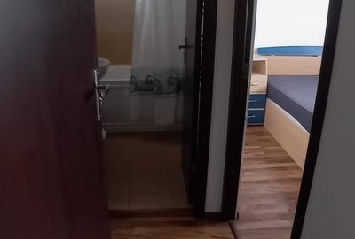 Apartament 2 Camere,Piata Victoriei,Amenajat,mobilat,utilat,complet - 18