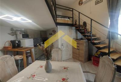 Apartament cu o camera de vanzare strada Andrei Saguna - 2