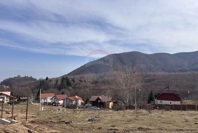 Teren Construcții intravilan de 1697 mp, în Cisnădioara