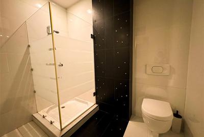 Apartament 2 camere de inchiriat Herastrau Nordului - 18
