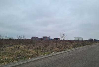 Teren industrial 10.000 mp | Dublă deschidere |  Acces CENTURA I OMNIA- LOGISTIC - 7