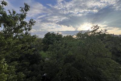 Apartament 2 camere | Pet friendly  | balcon cu vedere Parc Circului - 12