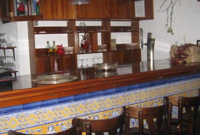 REV0005661 Vila renovata - zona Cismigiu - 19