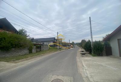 Casa plus teren de vanzare Magura Bacau - 8