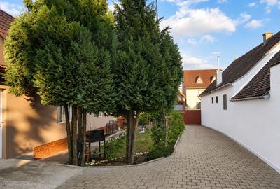 Casă cu 2 apartamente - 5 -camere -140 mp - Turnișor - 12