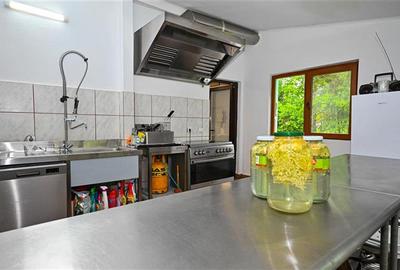 Complex turistic,afacere la cheie,3 vile, teren 7.700 mp,panouri fotovoltaice,Pl - 18