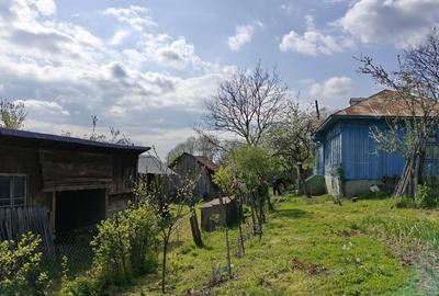 Casă cu 10.300 mp la 15 km de Craiova - 6