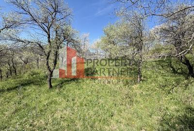 Teren 2500 mp Sohodol - 10