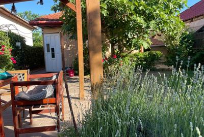 COMISION 0% Casa de vanzare in Ronat, teren 785 m - 18