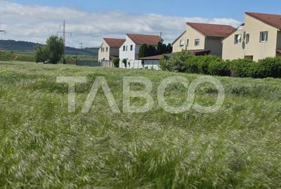 Teren intravilan de vanzare in Sebes drumul Petrestiului - 1