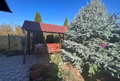 VANZARE CASA P+M PREDESTI PRAHOVA TEREN 1200 MP TOATE UTILITATILE - 14