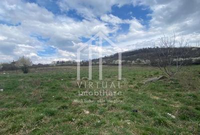 Teren intravilan de vanzare in Sibiu, suprafata 580 mp, Gusterita - 4