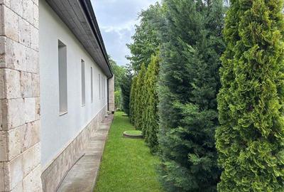 Casa de vanzare in Faget, Cluj-Napoca, vila premium, teren 1860 mp, casa de oasp - 4