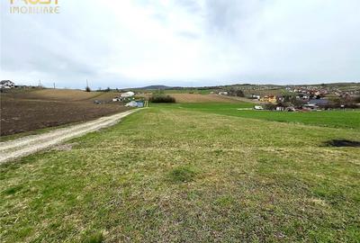 Teren extravilan zona lac Sigmir utilitati - 1