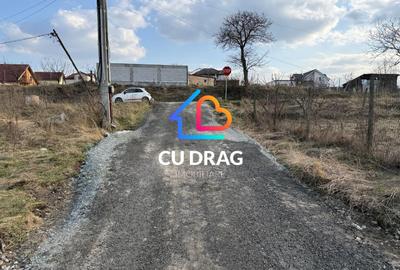 Teren intravilan cu toate utilitatile si drum amenajat Daia - 1