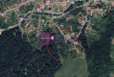 Teren 3581 mp | Marginimea Sibiului | priveliste superba - 7