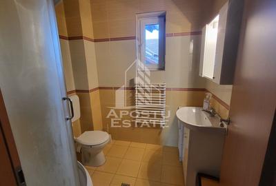 Casa individuala cu 7 camere si garaj,Dumbravita - 22