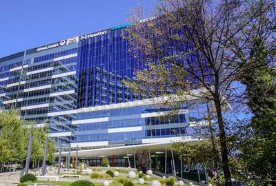 Birou, 2565 mp în Barbu Văcărescu