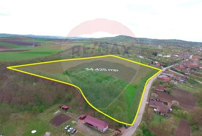 Teren intravilan, Bădeni, parcelabil - 11