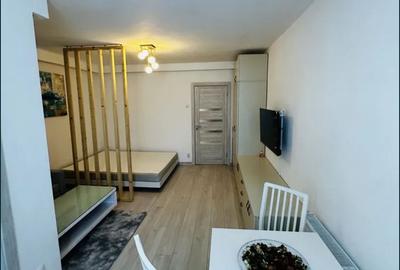 GARSONIERA IANCULUI, BUCATARIE INCHISA, PET-FRIENDLY, METROU 7 MINUTE - 1