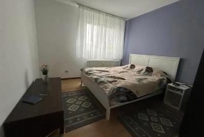 Inchiriere Apartament 2 camere Renovat Drumul Taberei-Parc Moghioros - 10