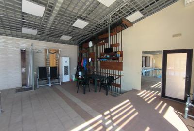 Vila de inchiriat - 4