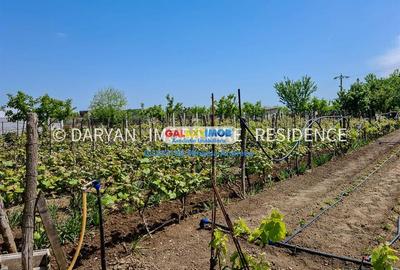 Teren in Poienari Apostoli, 21 E mp, Avantajos, DN1, 34.500 euro - 2