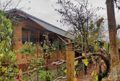 Casă de vânzare in Loc. Saraiu, Harsova - 3