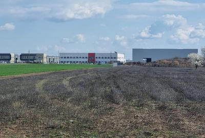 Vanzare Teren   construibil 620mp Magurele Varteju - 11
