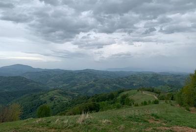 Proprietar vand teren extravilan 2ha, PANORAMA SUPER, investitie, BIO - 3