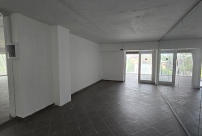 Spatiu comercial de inchiriat Podul Constanta - Chitila - Bucurestii Noi - 16