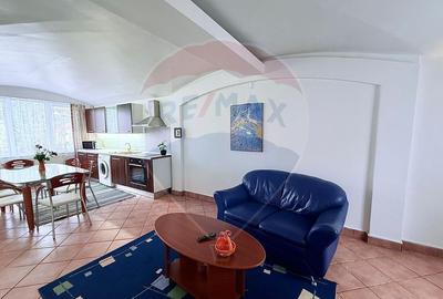 De închiriat duplex cu 4 camere - Șoșeaua Bârnova - 5