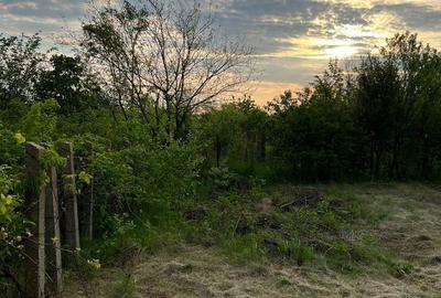 Teren 1.246 mp, Str. Traian – Vadu Anei | Aproape de lac și A2 - 6