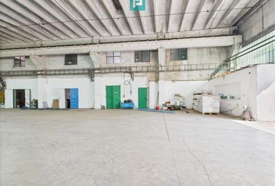 Complex industrial cu hale și teren  în Orțișoara - 3