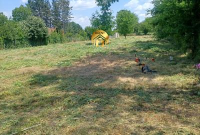 4 X Loturi Teren Intravilan in Saftica – Balotesti |  100m de DN1 - 1